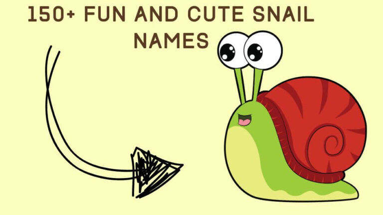 150+ Fun and Cute Snail Names for Your Pet Gastropod