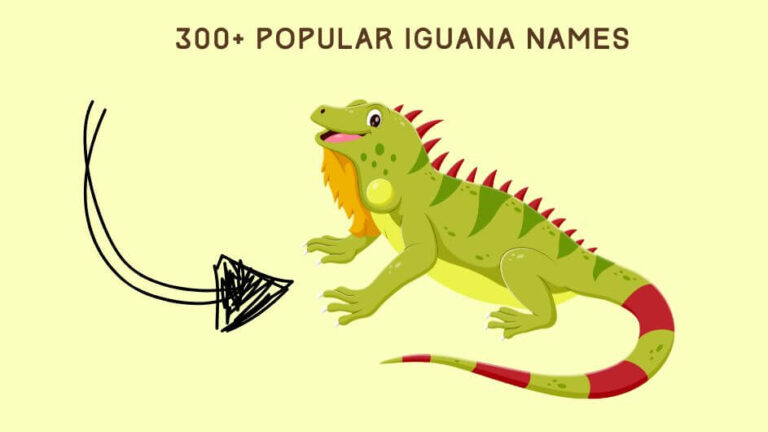 300+ Popular Iguana Names