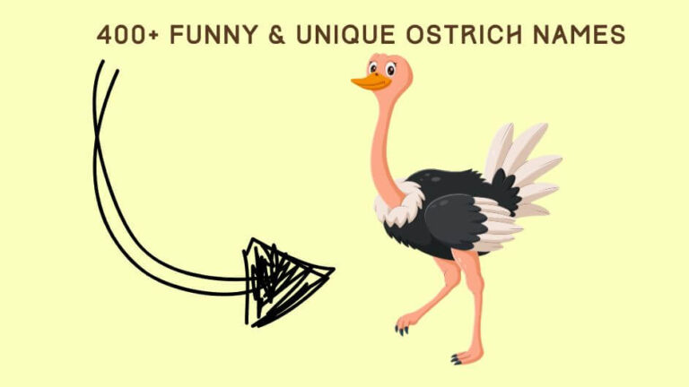 400+ Funny & Unique Ostrich Names