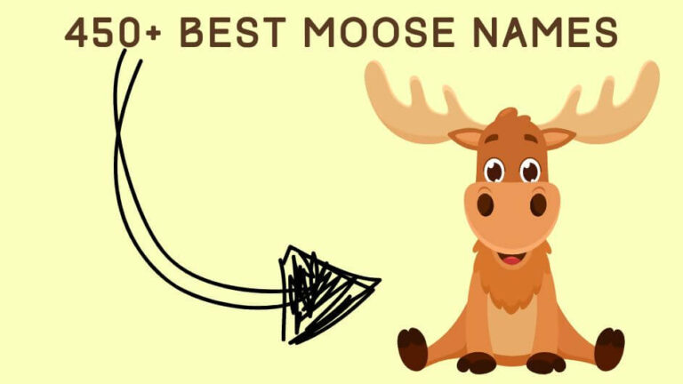 450+ Best Moose Names