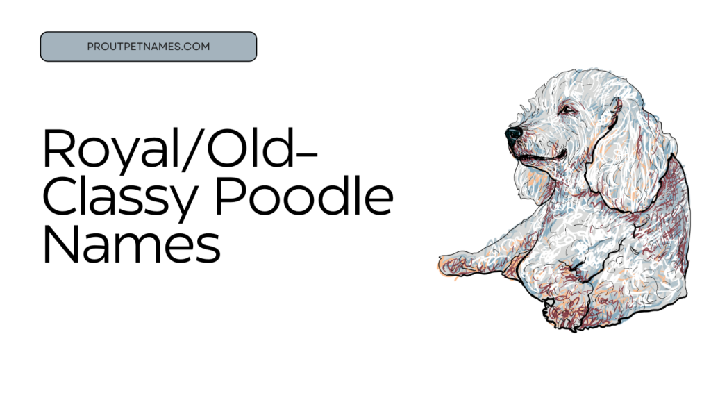 Royal/Old-Classy Poodle Names
