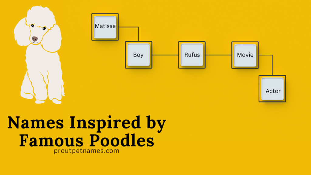 Names Inspired by Famous Poodles
