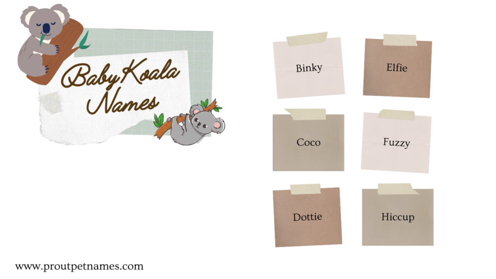 Baby Koala Names
