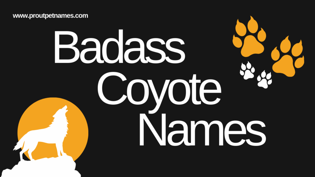 Badass Coyote Names
