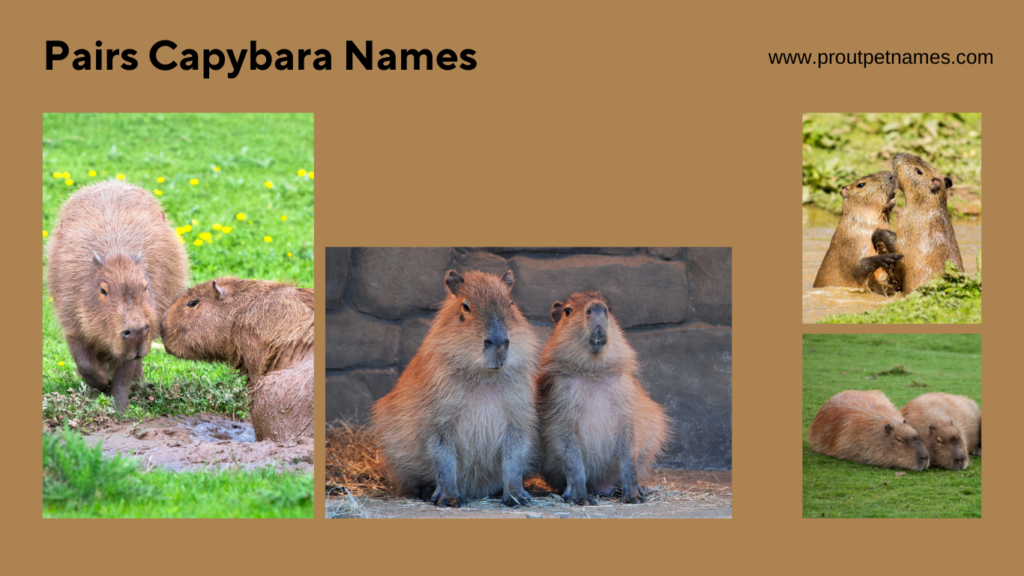 Pairs Capybara Names
