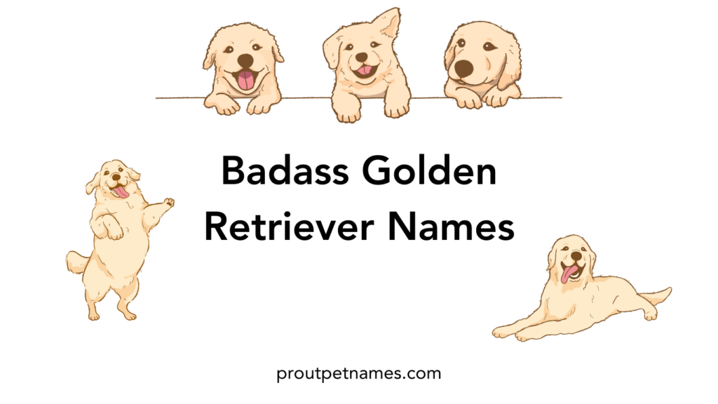 Badass Golden Retriever Names
