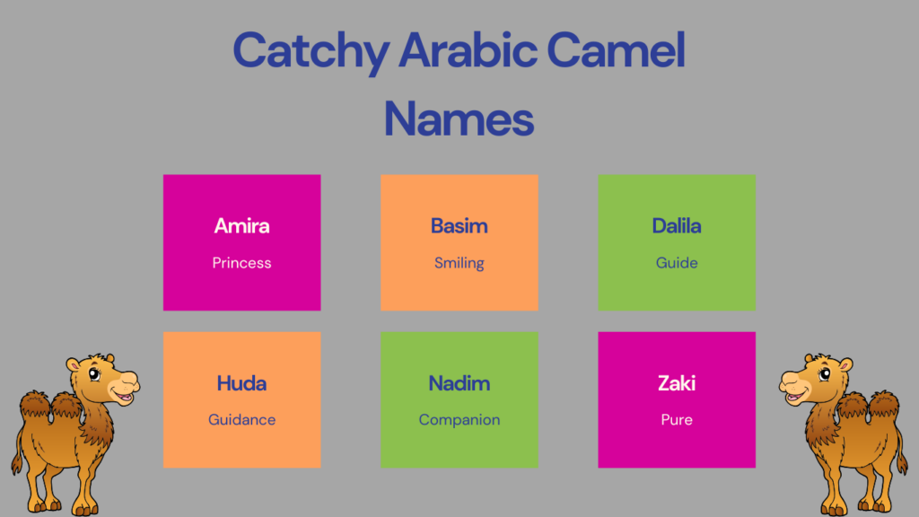 Catchy Arabic Camel Names
