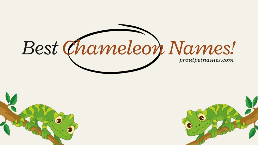 Best Chameleon Names