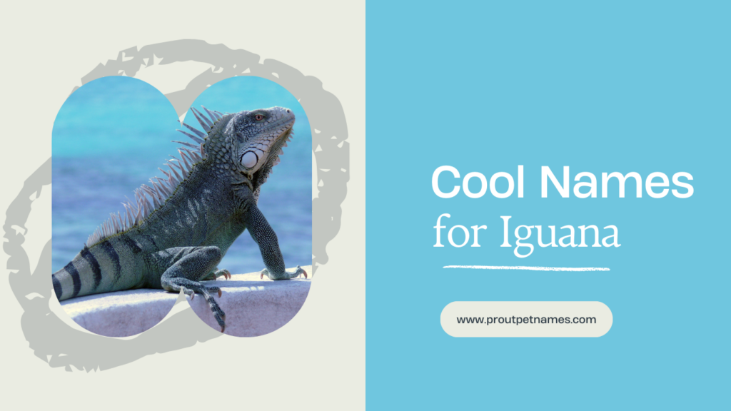 Cool Names for Iguana
