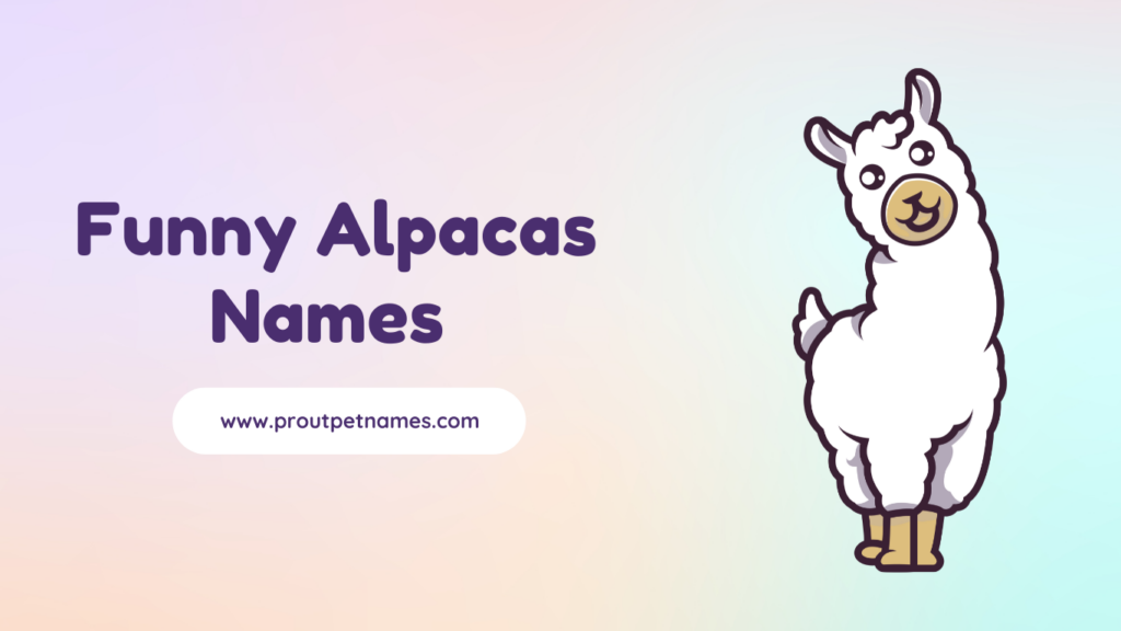 Funny Alpaca Name 
