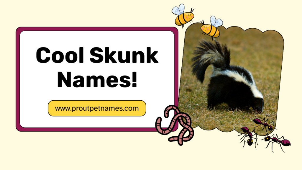 Cool Skunk Names
