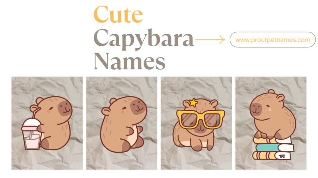 Cute Capybara Names
