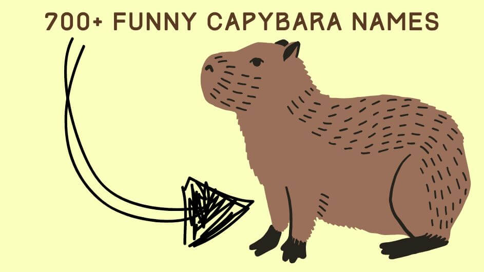 Cute & Funny Capybara Names: 700+ Ideas for Your Pet