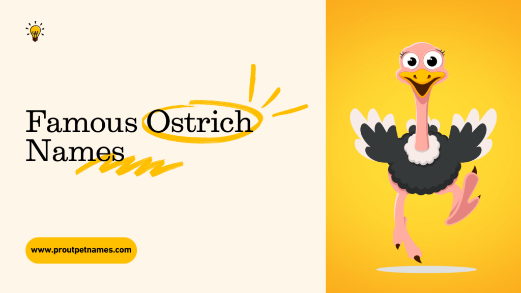 Famous Ostrich Names
