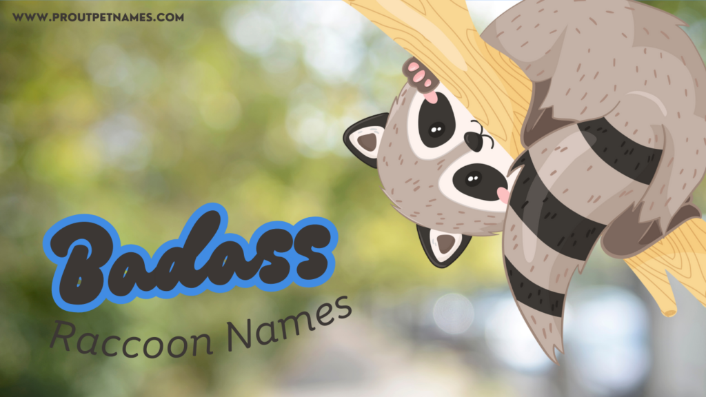 Badass Raccoon Names
