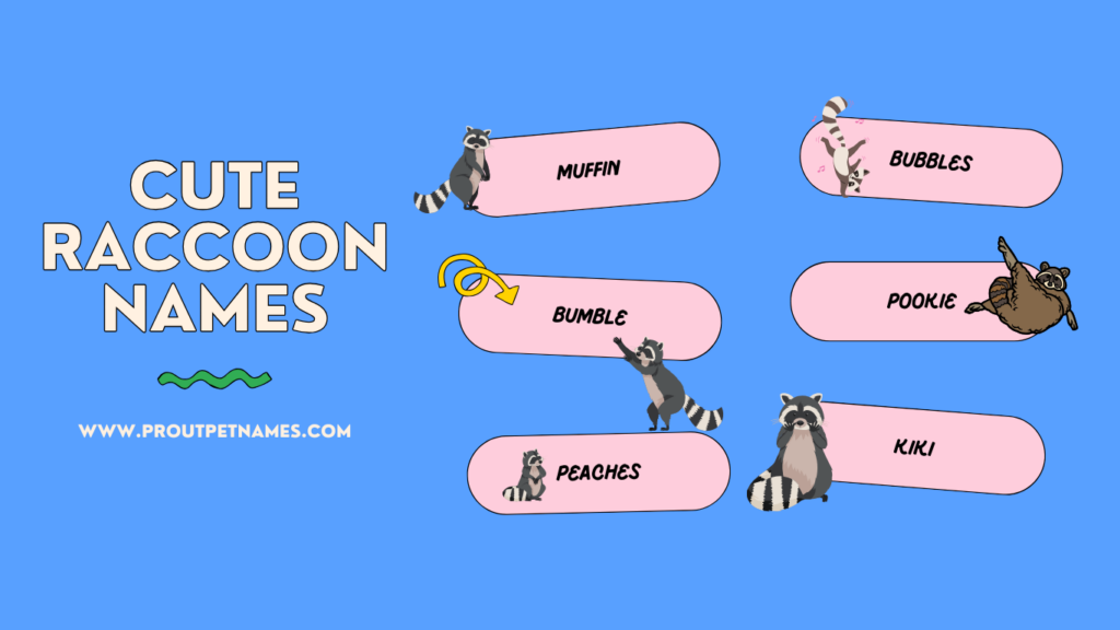 Cute Raccoon Names
