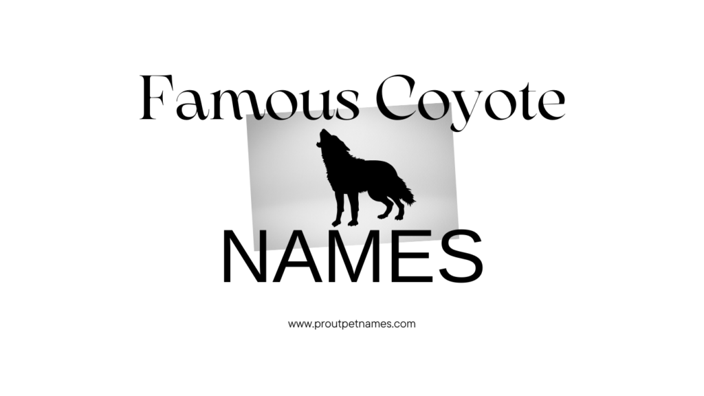 Famous Coyote Names
