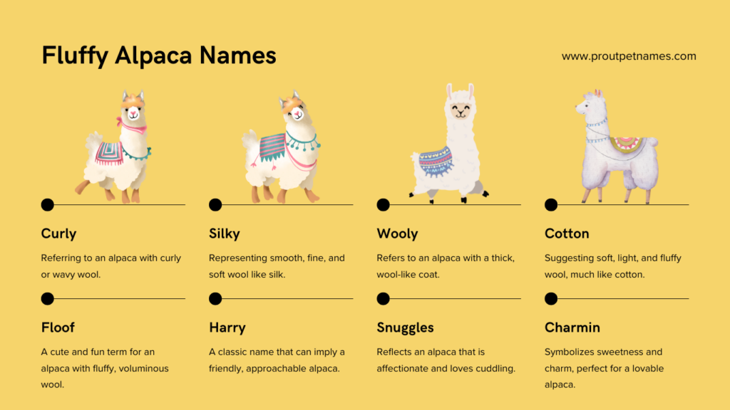 Fluffy Alpaca Names
