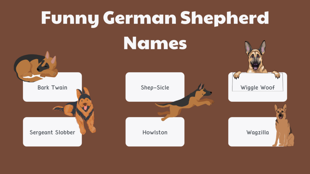 Funny German Shepherd Names
