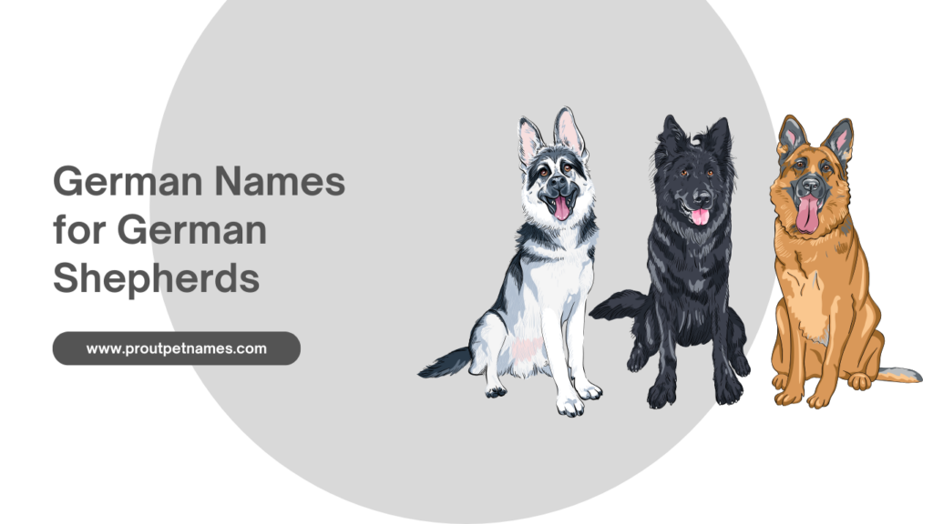 German Names for German Shepherds
