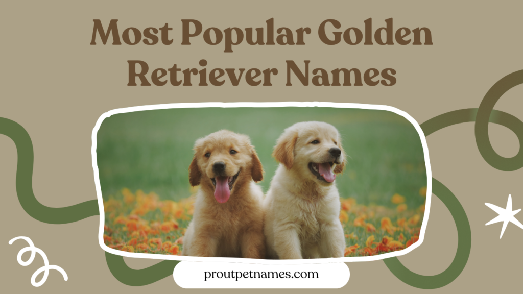 Most Popular Golden Retriever Names
