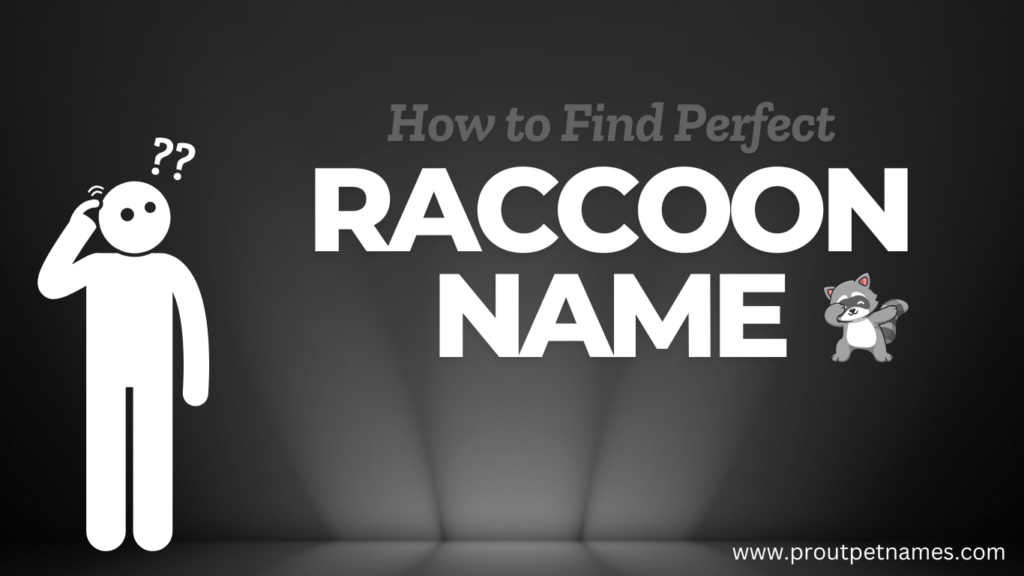 How to Find the Perfect Raccoon Name
