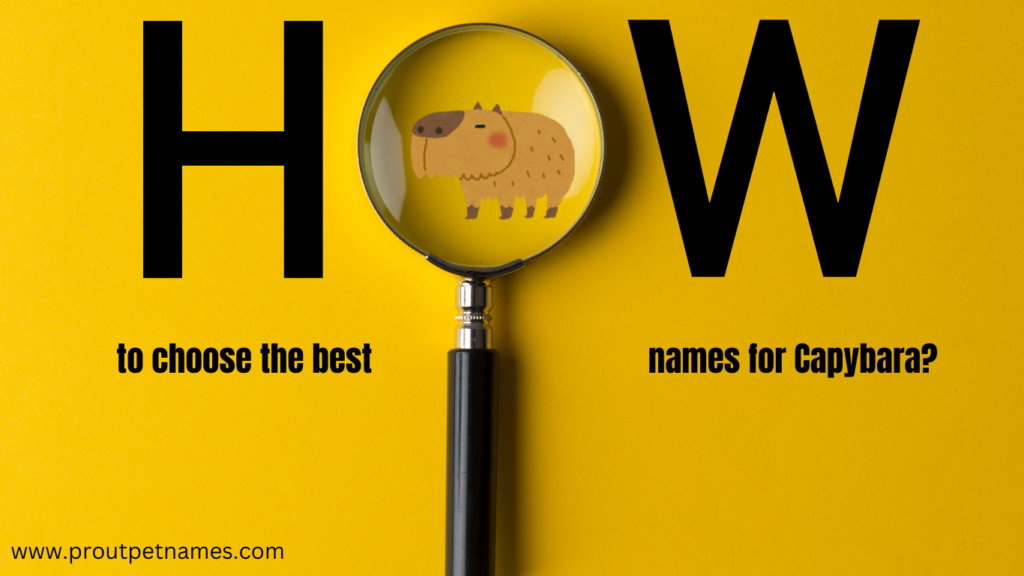 How to choose the best names for Capybara?
