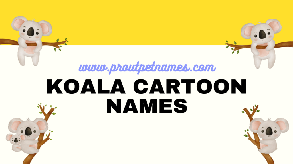 Koala Cartoon Names
