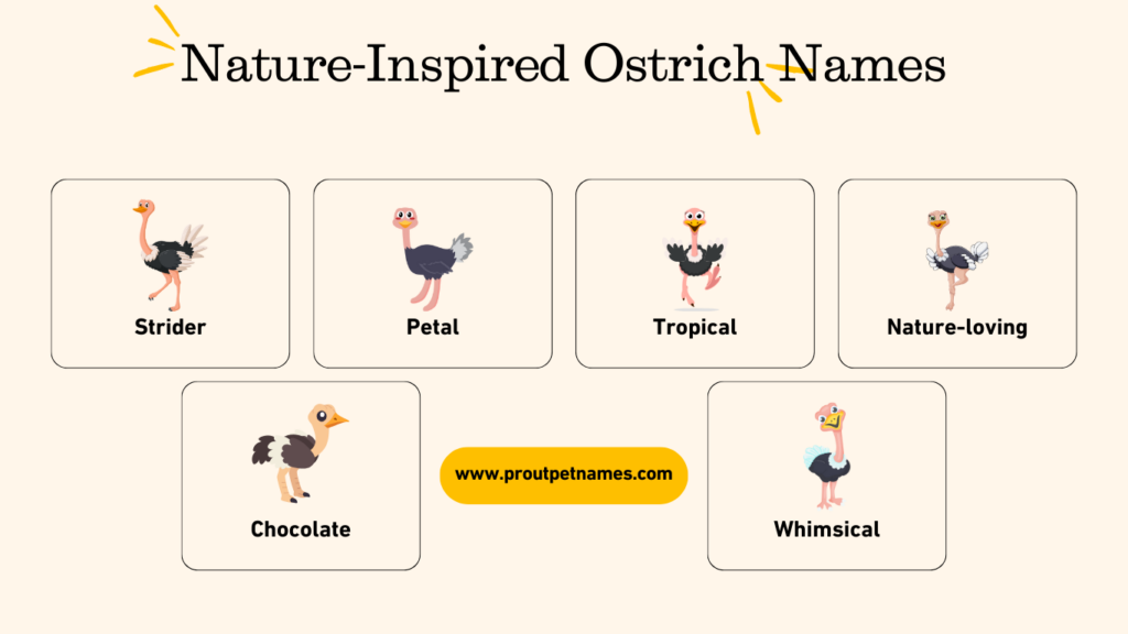 Nature-Inspired Ostrich Names
