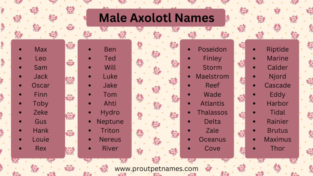 Male Axolotl Names
