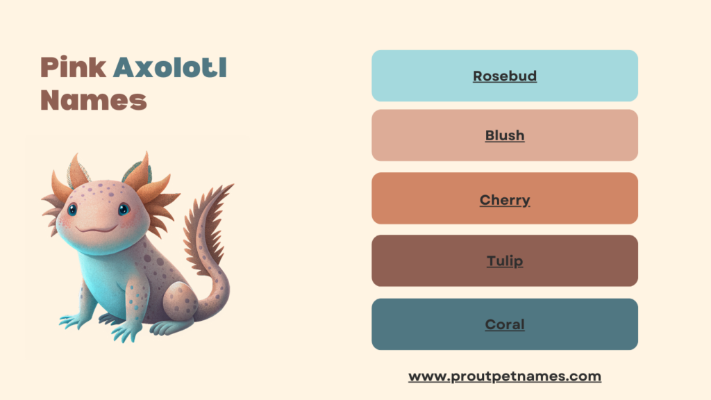 Pink Axolotl Names