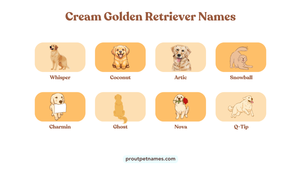 Cream Golden Retriever Names
