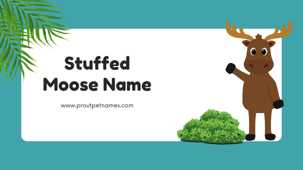 Stuffed Moose Name