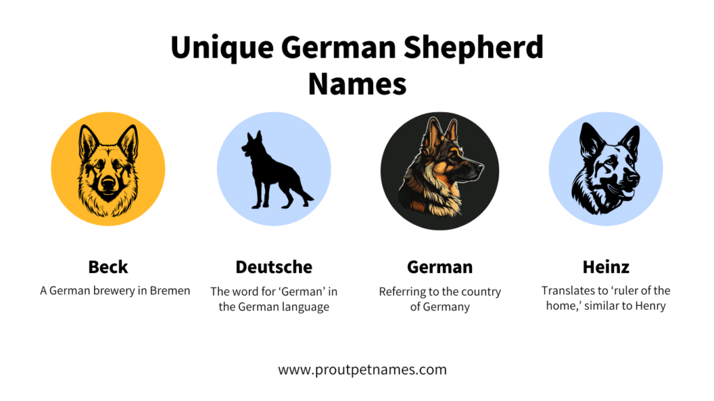 Unique German Shepherd names
