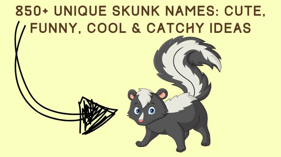 Unique Skunk Names Cute, Funny, Cool & Catchy Ideas