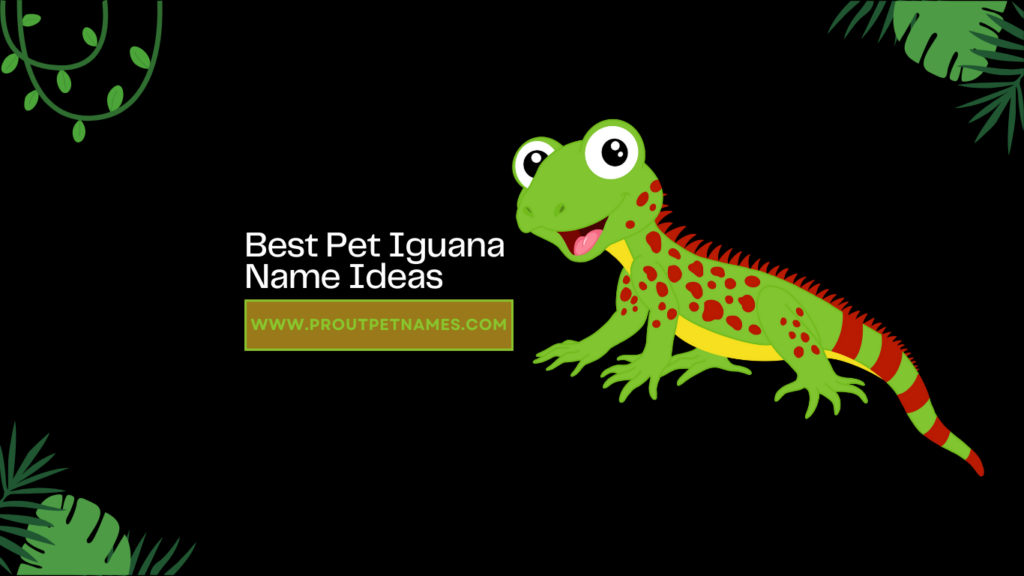 Best Pet Iguana Name Ideas
